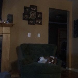 Meet your Posher, Austin